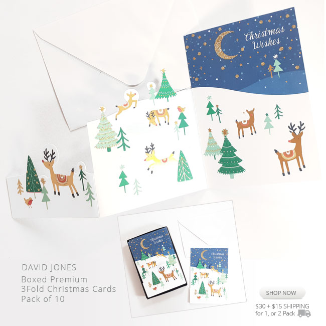 Christmas Night Greeting Cards