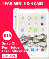 iPad Mini Snap On Case