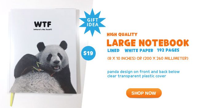 Writing Lined Notebook