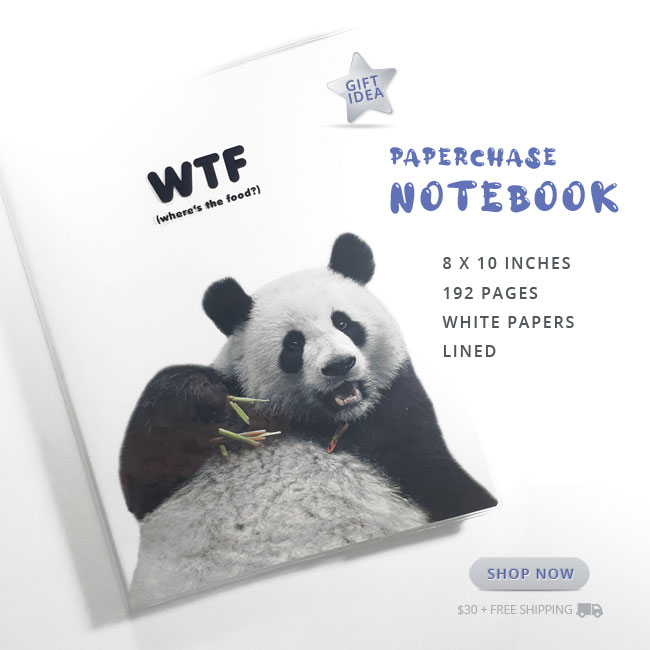 Paperchase Premium Notebook