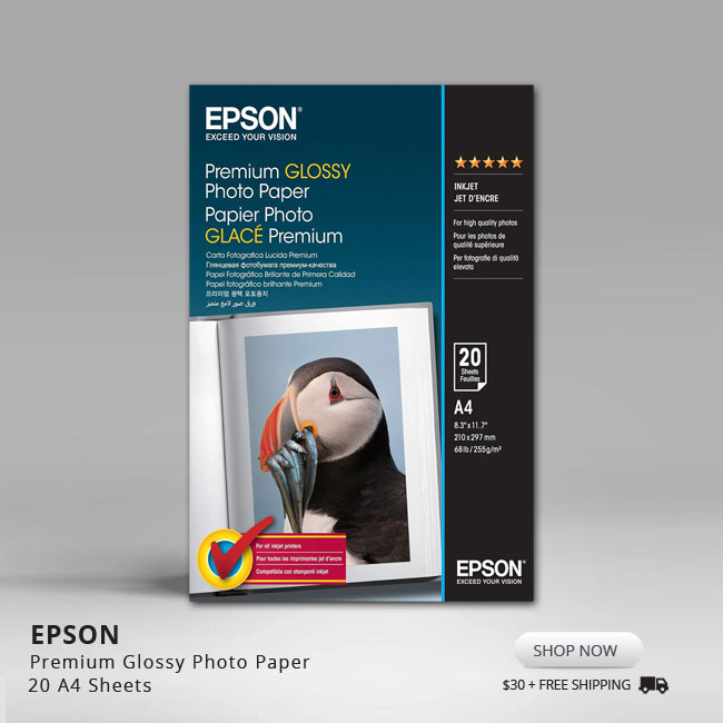 Epson Photo Paper