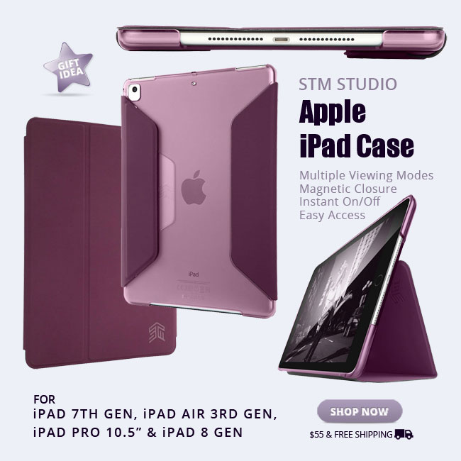 Apple iPad Case