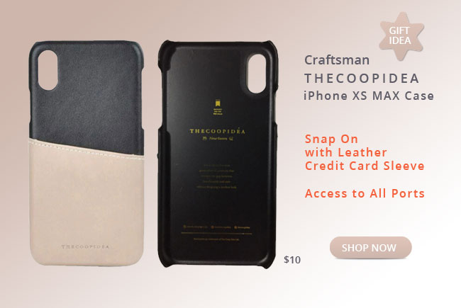 iPhobe XS Max Case